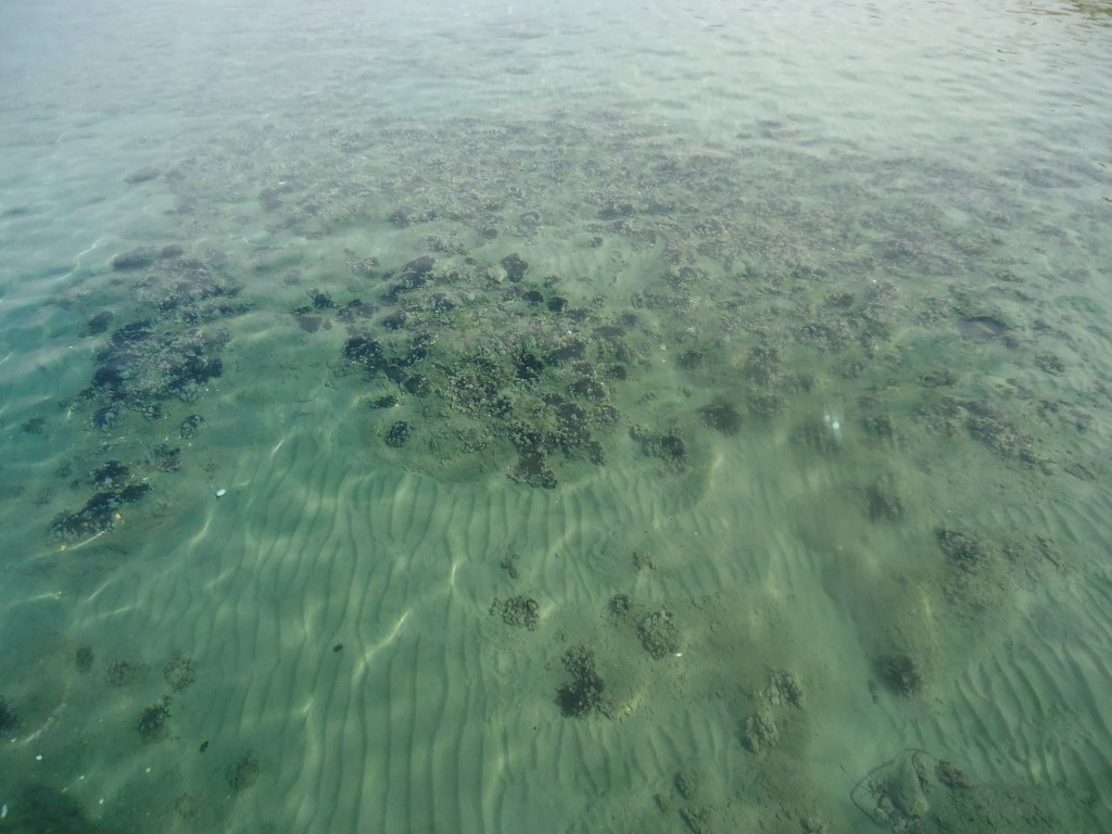 imagini hotel SUNIS EFES ROYAL PALACE OZDERE